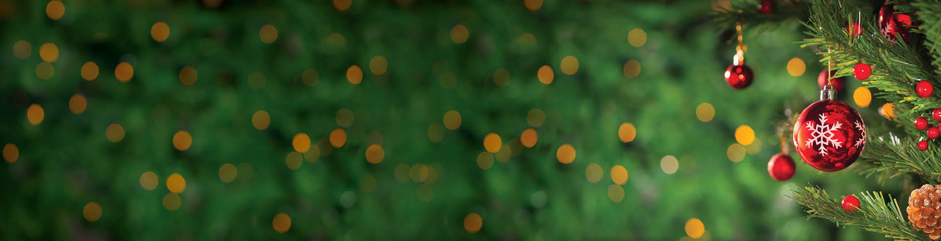Christmas Web Header.jpg